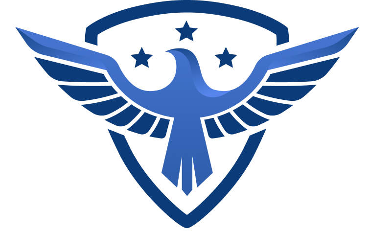American Protection Security Logo